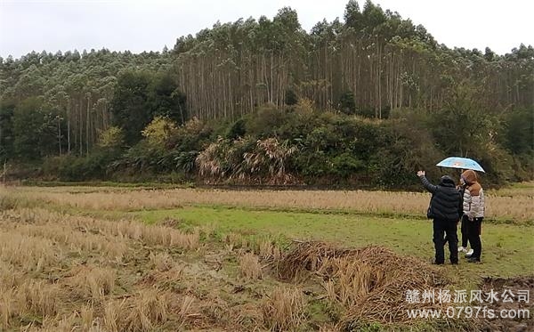 桃园县陈老师带着爱徒寻龙点穴